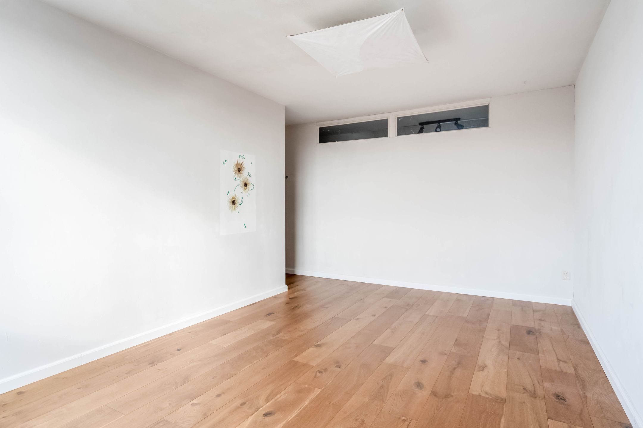 Foto 45 van Theresiastraat 299