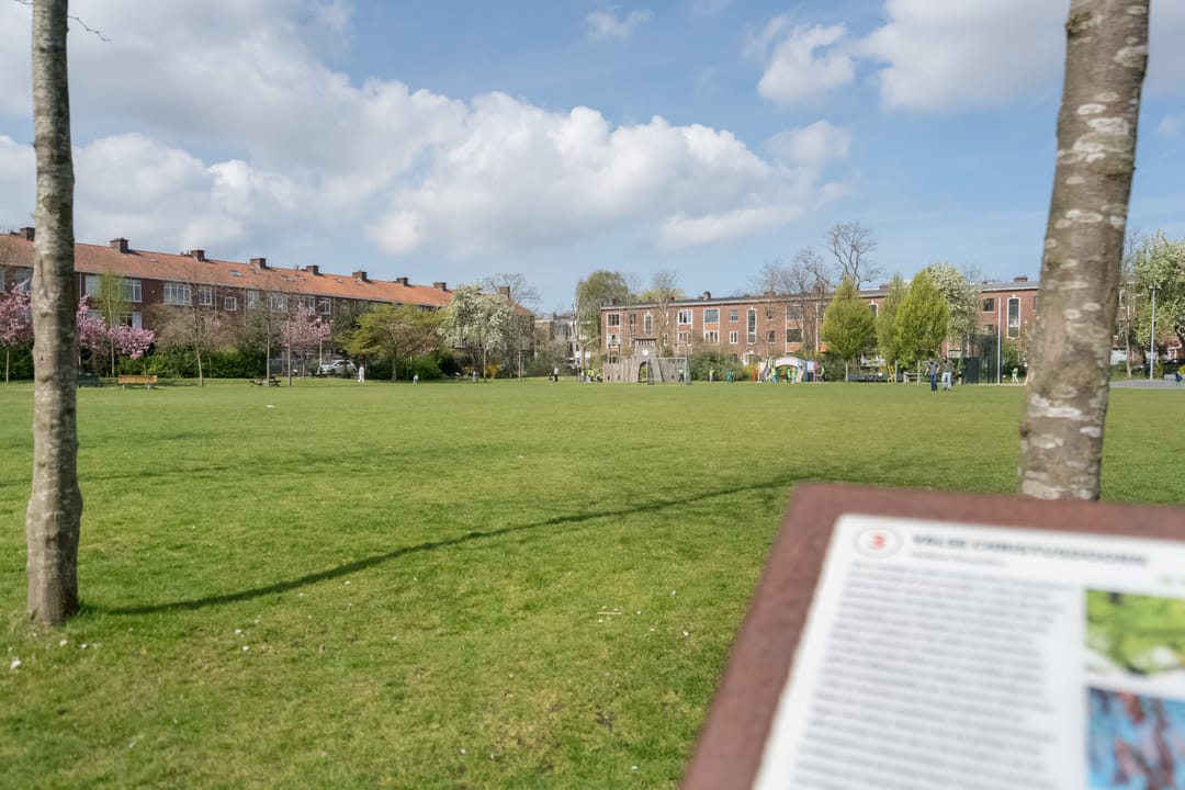 Foto 67 van Theresiastraat 299