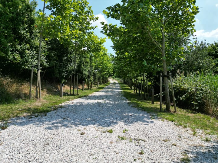 Photo 9 of Ringdijk Noord 22-A