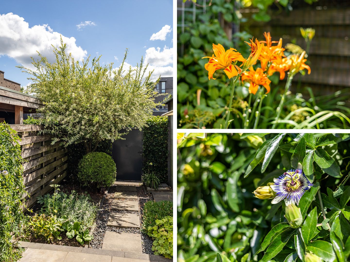 Foto 19 van Hemmingstraat 22