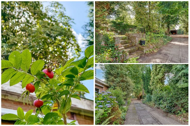 Photo 2 of Pleineslaan 45