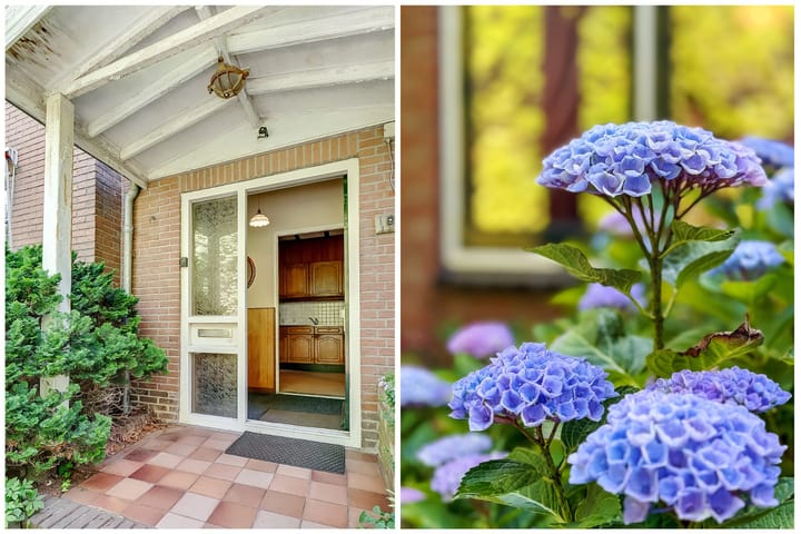 Photo 5 of Pleineslaan 45