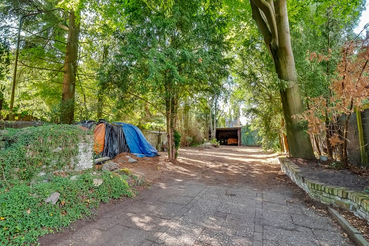 Photo 25 of Pleineslaan 45