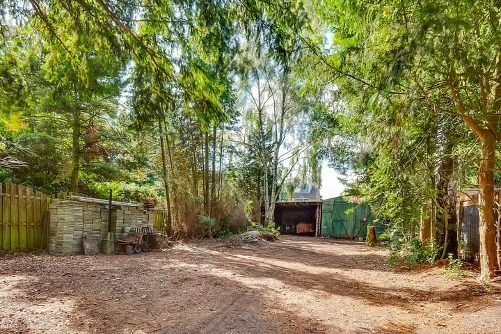 Photo 26 of Pleineslaan 45