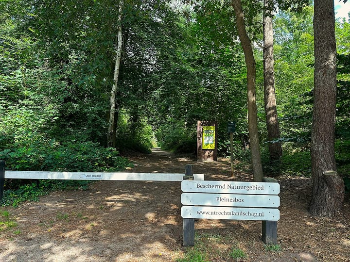 Photo 29 of Pleineslaan 45