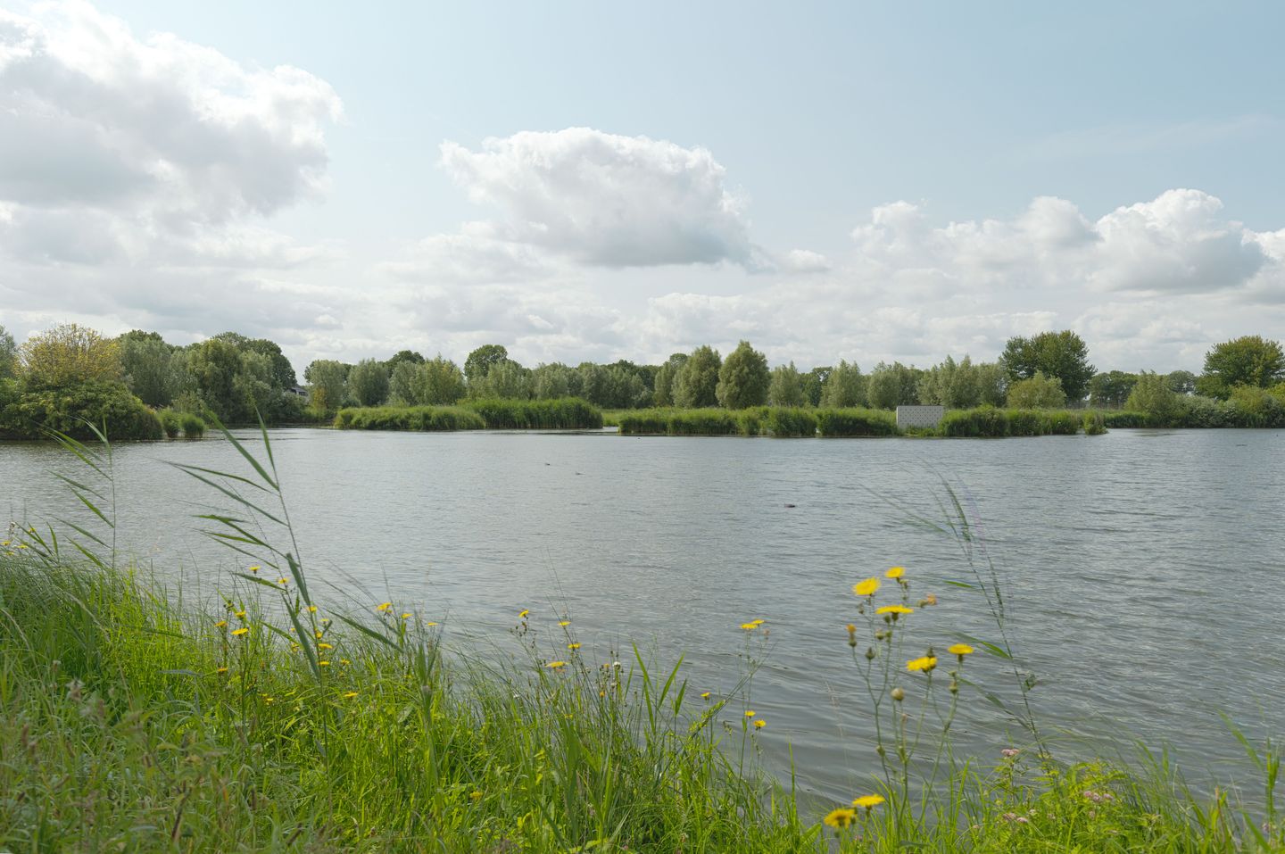 Foto 35 van Oesterbank 11