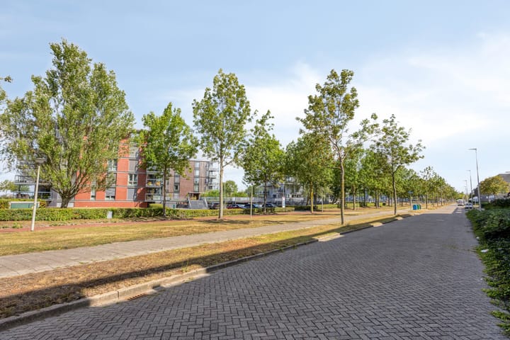 Foto 35 van Ansjovislaan 221