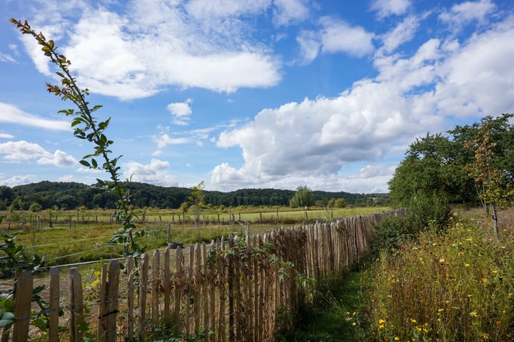 Foto 61 van Strabeek 37