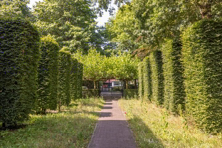 Photo 91 of F.A. Molijnlaan 88