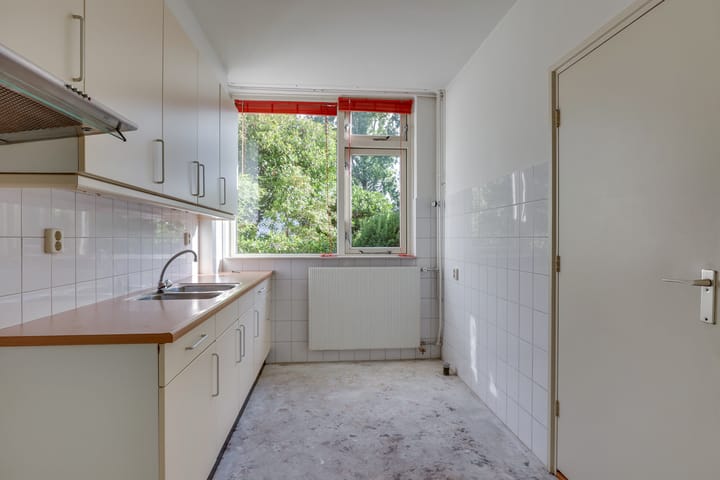 Foto 3 van De Otter 19