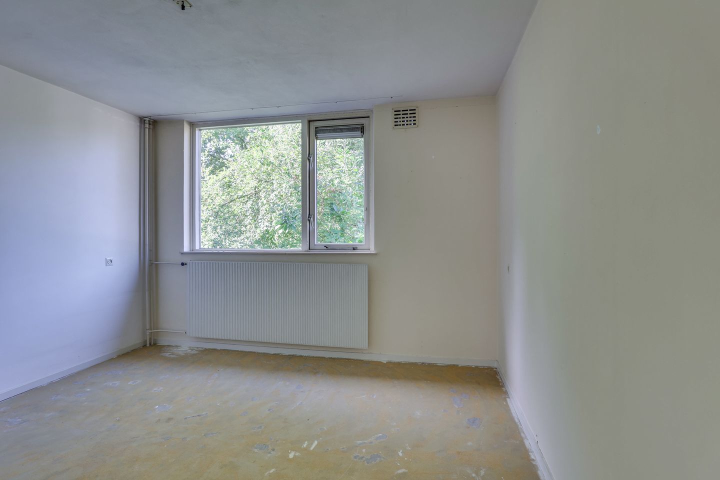 Foto 4 van De Otter 19