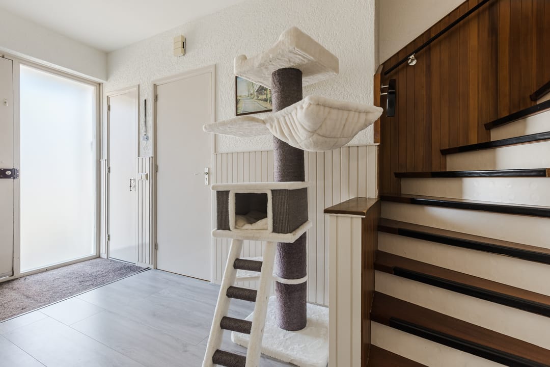 Photo 16 of Noordeinde 28