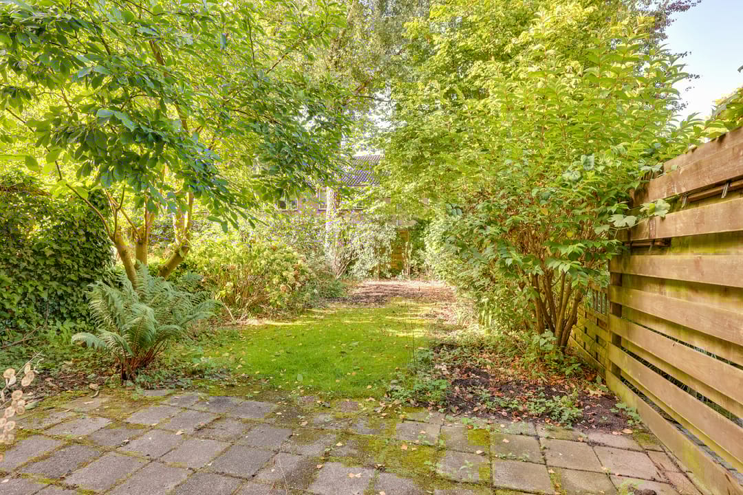 Foto 31 van De Otter 19