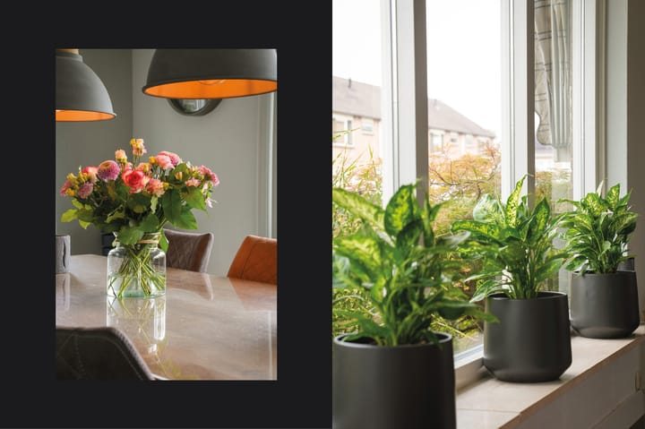 Foto 13 van Nijverheidsstraat 17