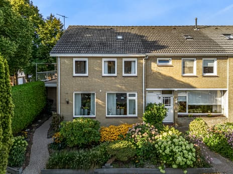 undefined main image