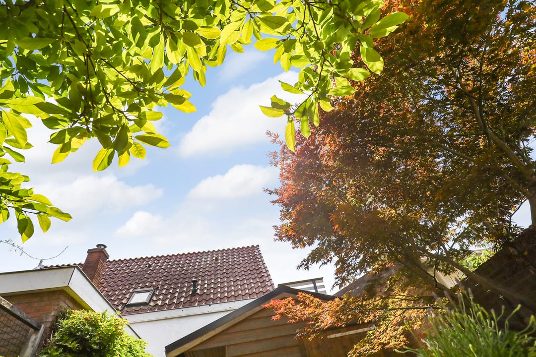 Foto 37 van Nieuwpoortslaan 59