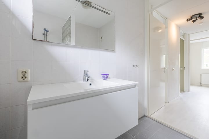 Foto 17 van Waterviolier 39