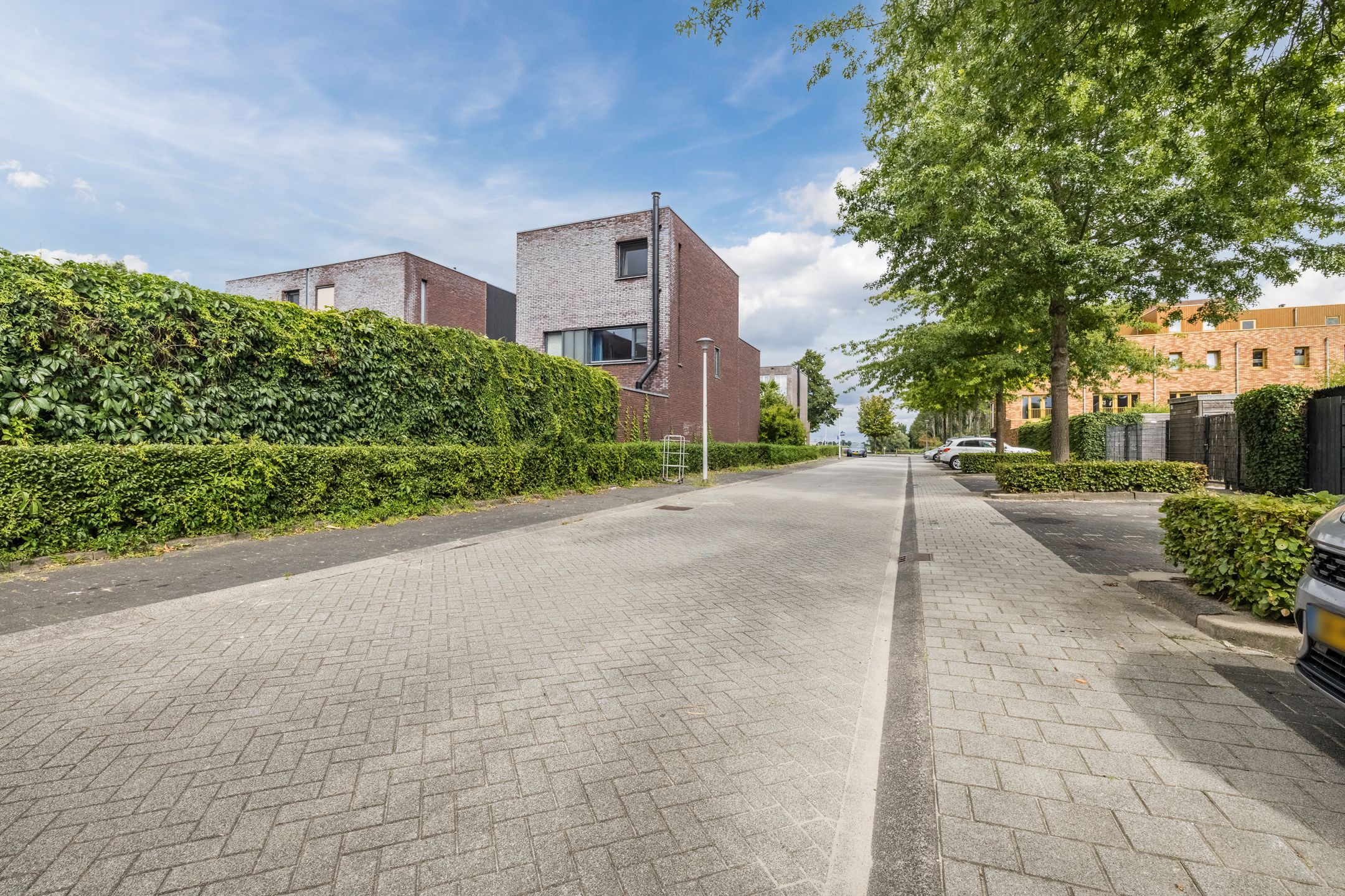 Foto 30 van Waterviolier 39