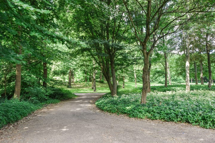 Foto 33 van Hoofdweg 716