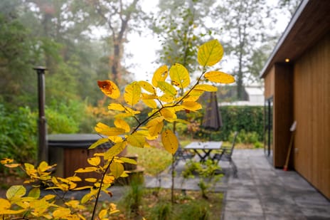 Roekelseweg 48-B28 secondary image