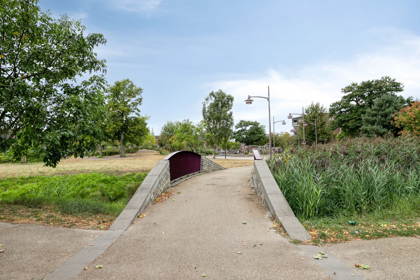 Foto 40 van van den Dungenstraat 3