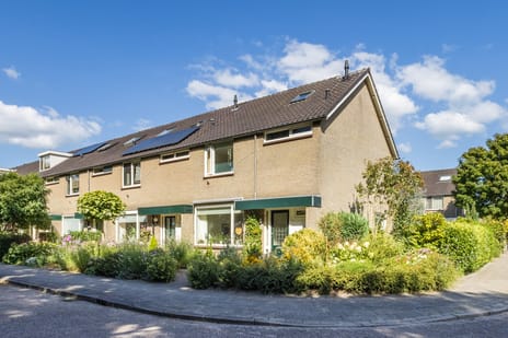 undefined main image