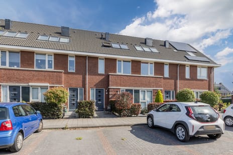 undefined main image