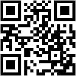 Foto 24 van Wassenaarsestraat 126