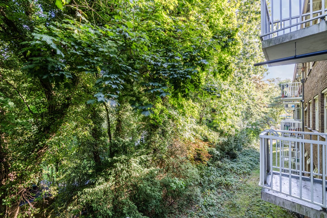 Foto 13 van Pieter Jelles Troelstralaan 65-B