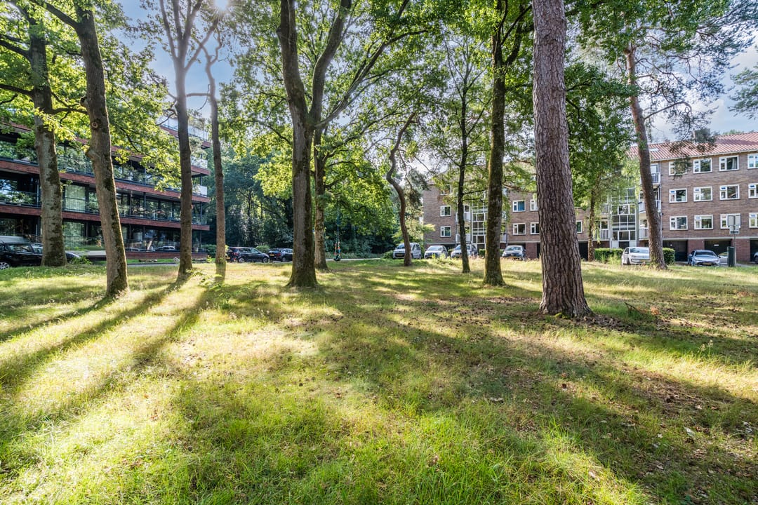 Foto 26 van Pieter Jelles Troelstralaan 65-B