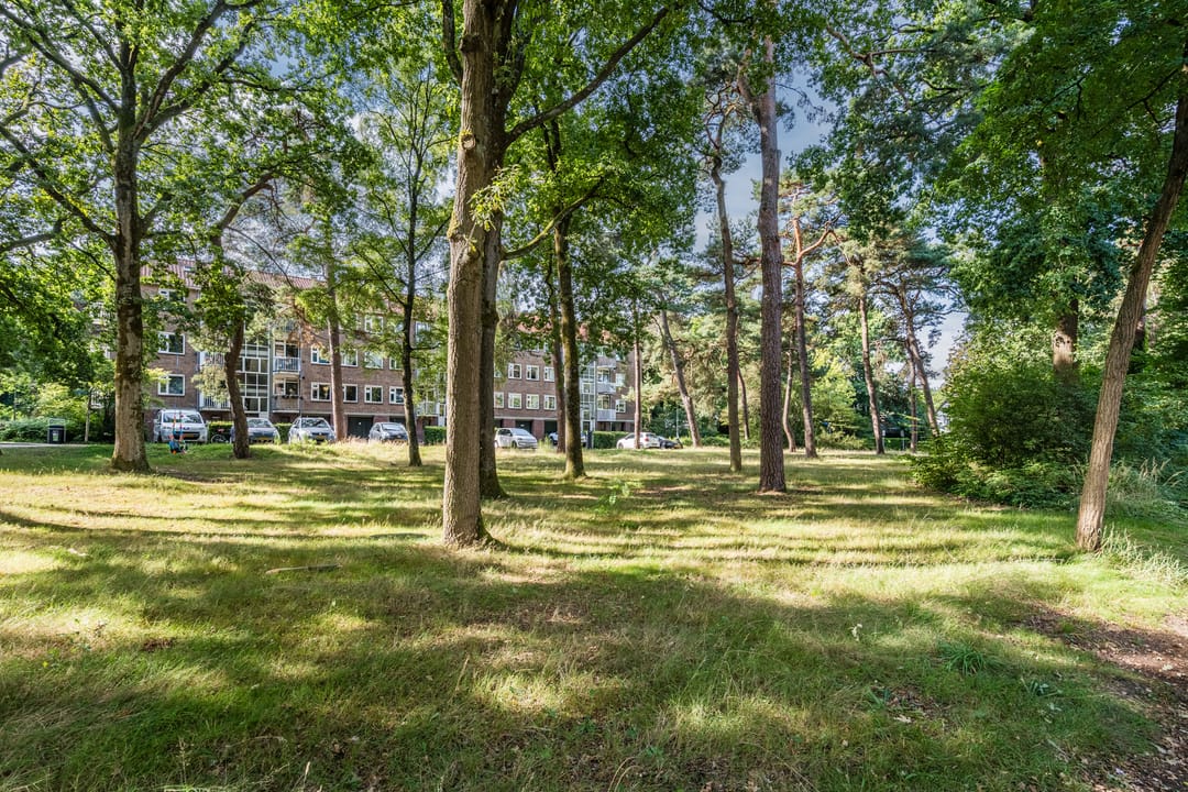 Foto 28 van Pieter Jelles Troelstralaan 65-B