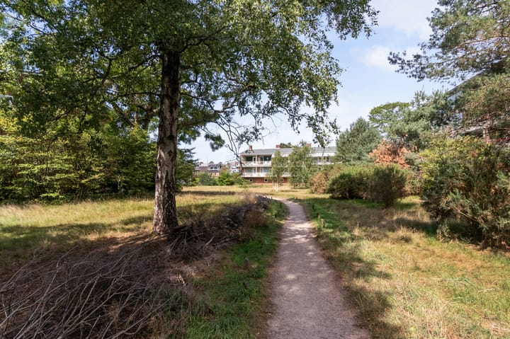 Foto 2 van Amaliagaarde 17