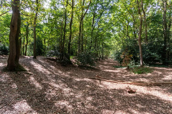 Foto 18 van Amaliagaarde 17