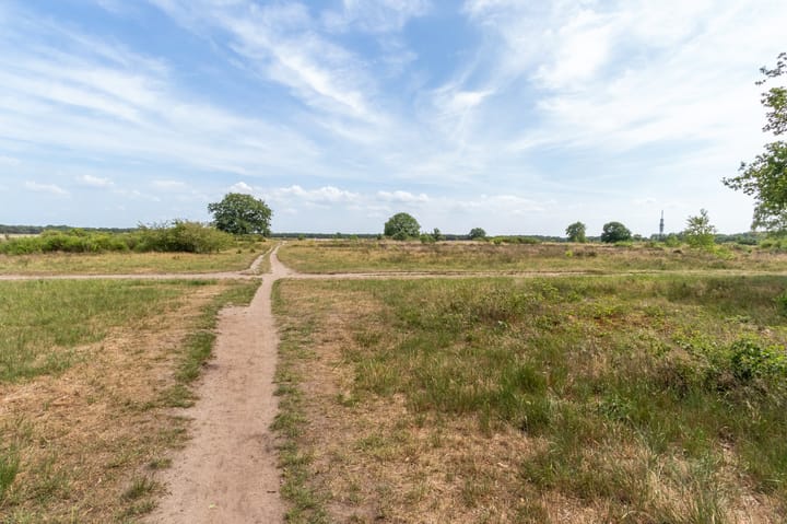 Foto 20 van Amaliagaarde 17