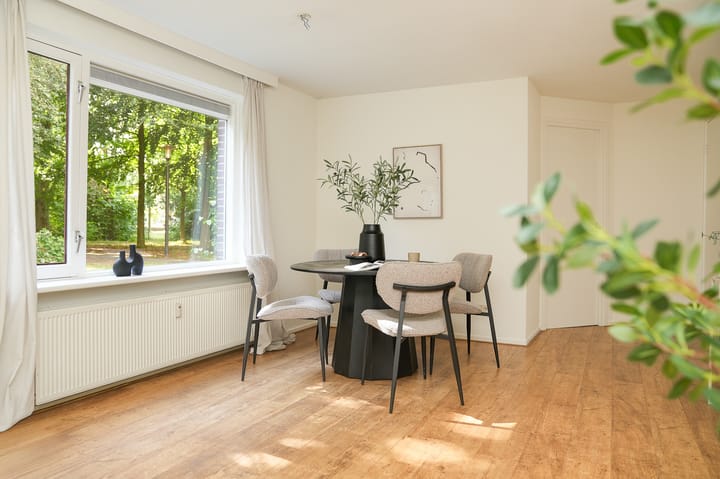 Foto 6 van Deliuslaan 100