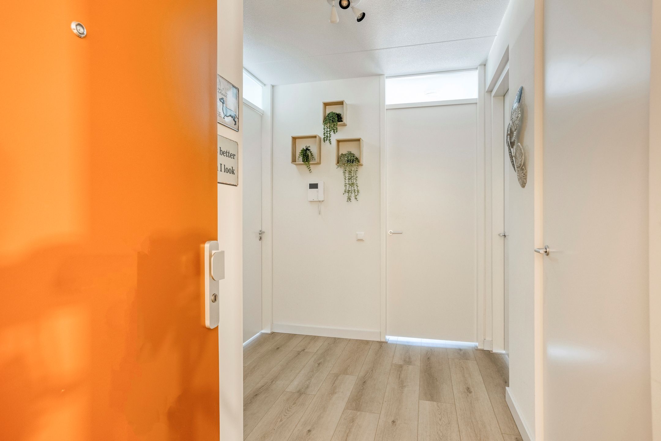 Foto 6 van De Cassij 30-D05