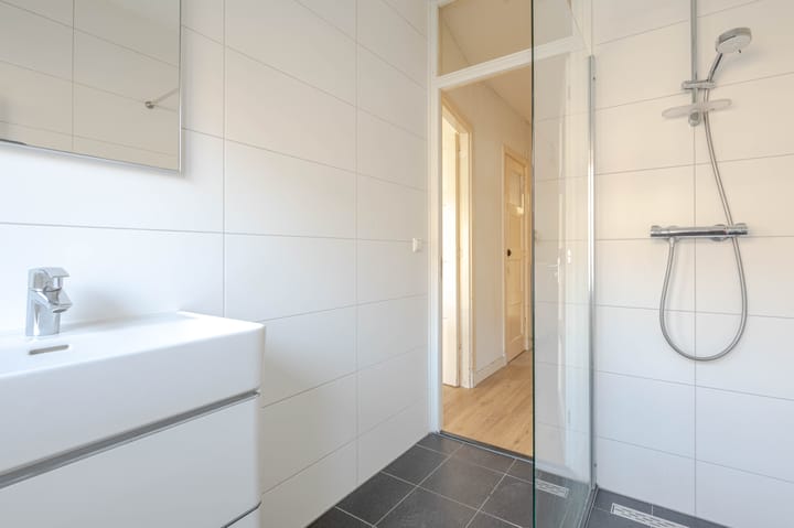 Foto 13 van Zweedsestraat 147-B01