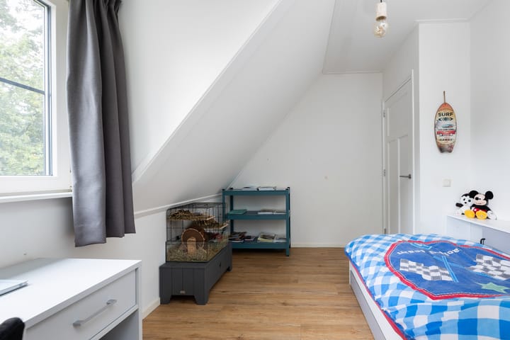 Foto 39 van Koningin Wilhelminalaan 19