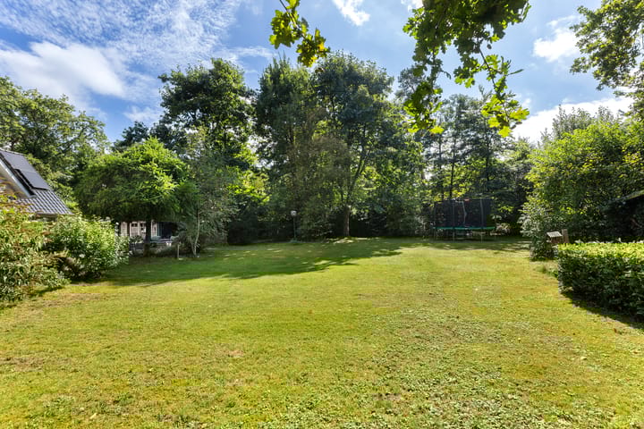 Foto 52 van Koningin Wilhelminalaan 19