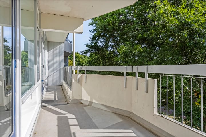 Foto 5 van Pollux 159