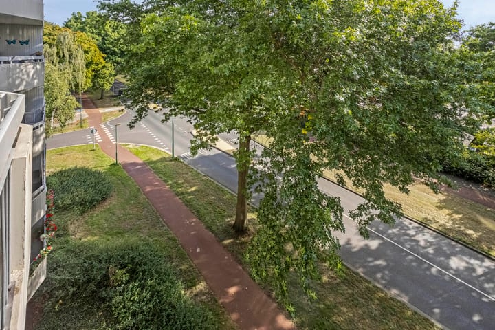 Foto 32 van Pollux 159