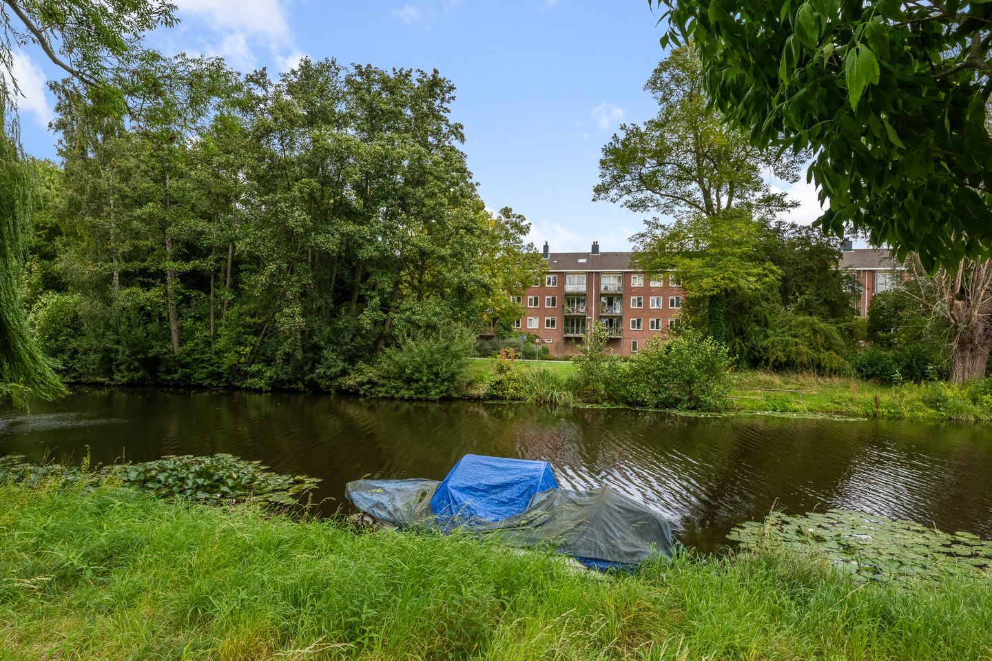 Foto 40 van Schoorlstraat 59