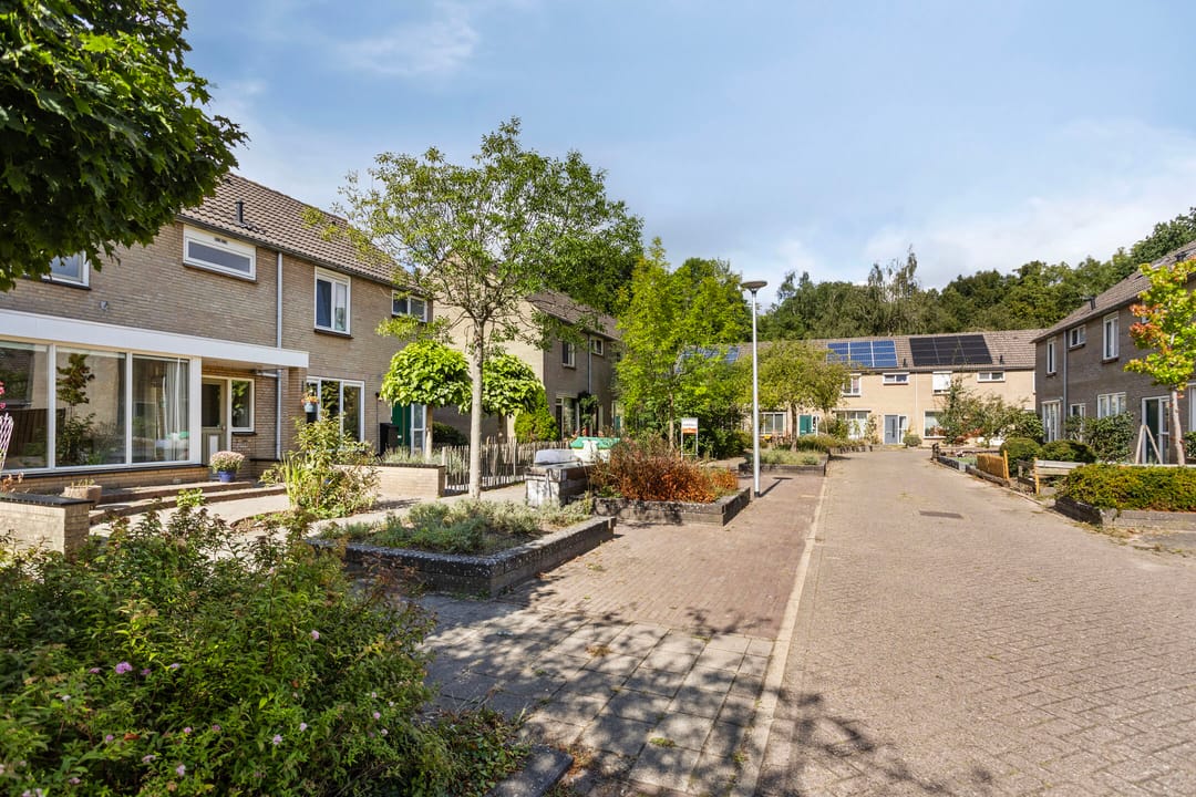 Foto 31 van Carel van Manderhof 5