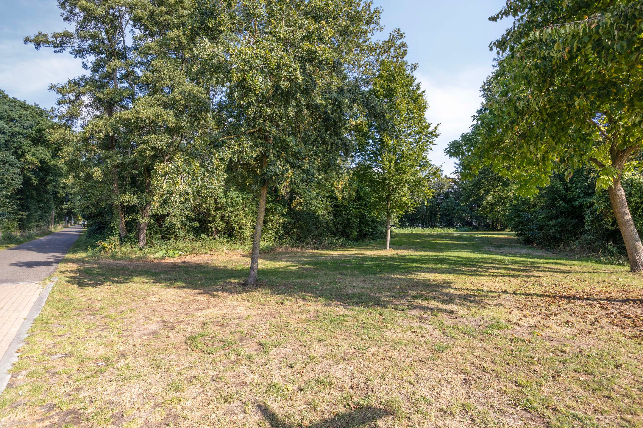 Foto 33 van Carel van Manderhof 5