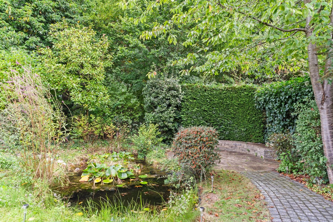 Photo 47 of Magneetveld 9