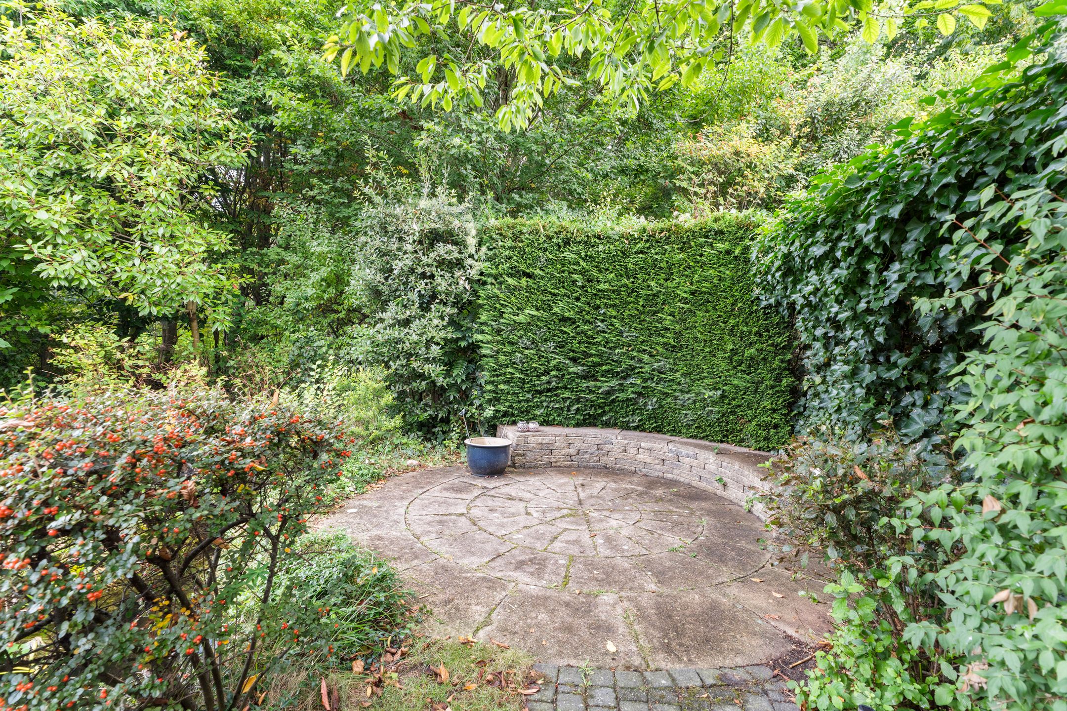 Photo 48 of Magneetveld 9