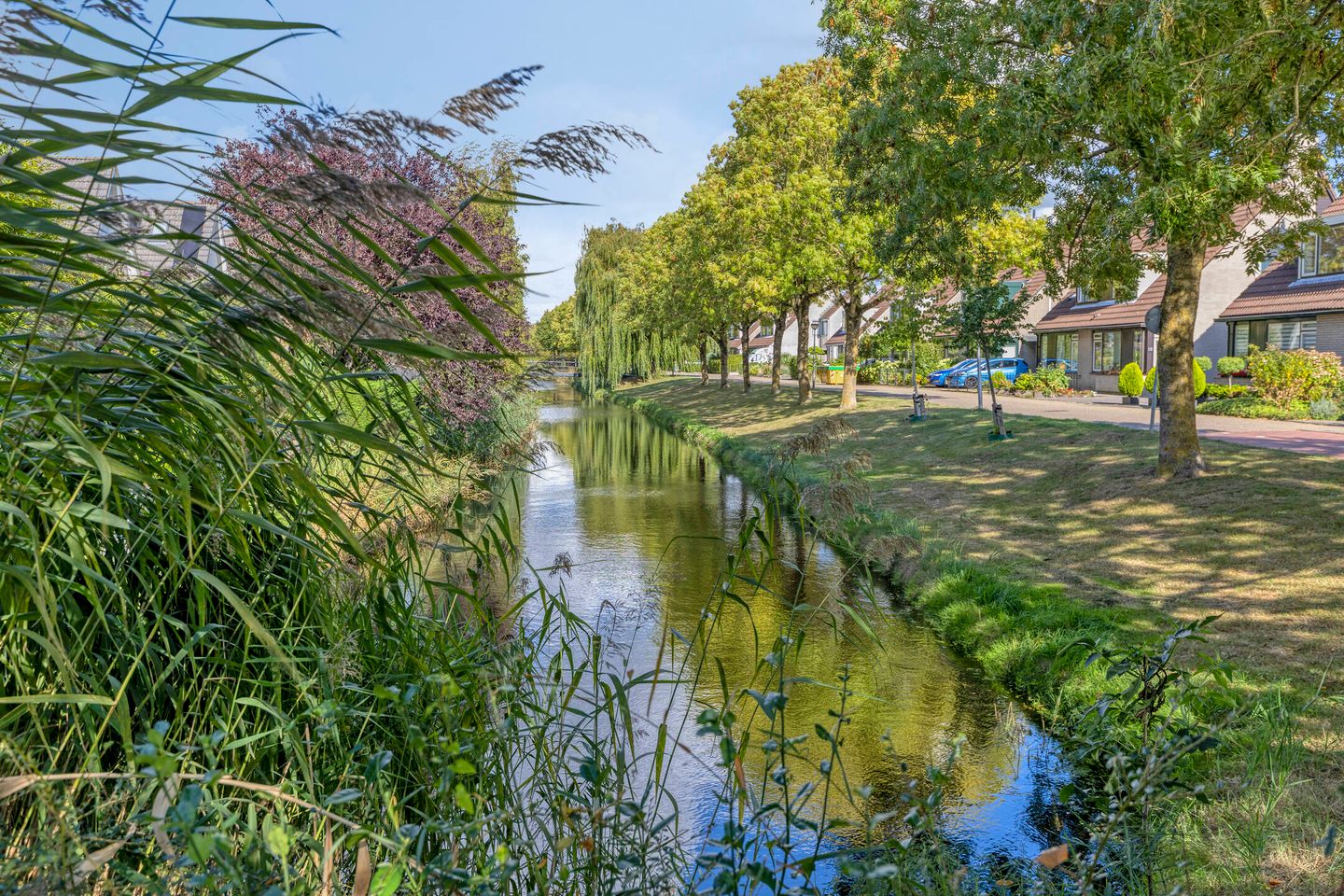 Foto 34 van Martin Luther Kinglaan 118