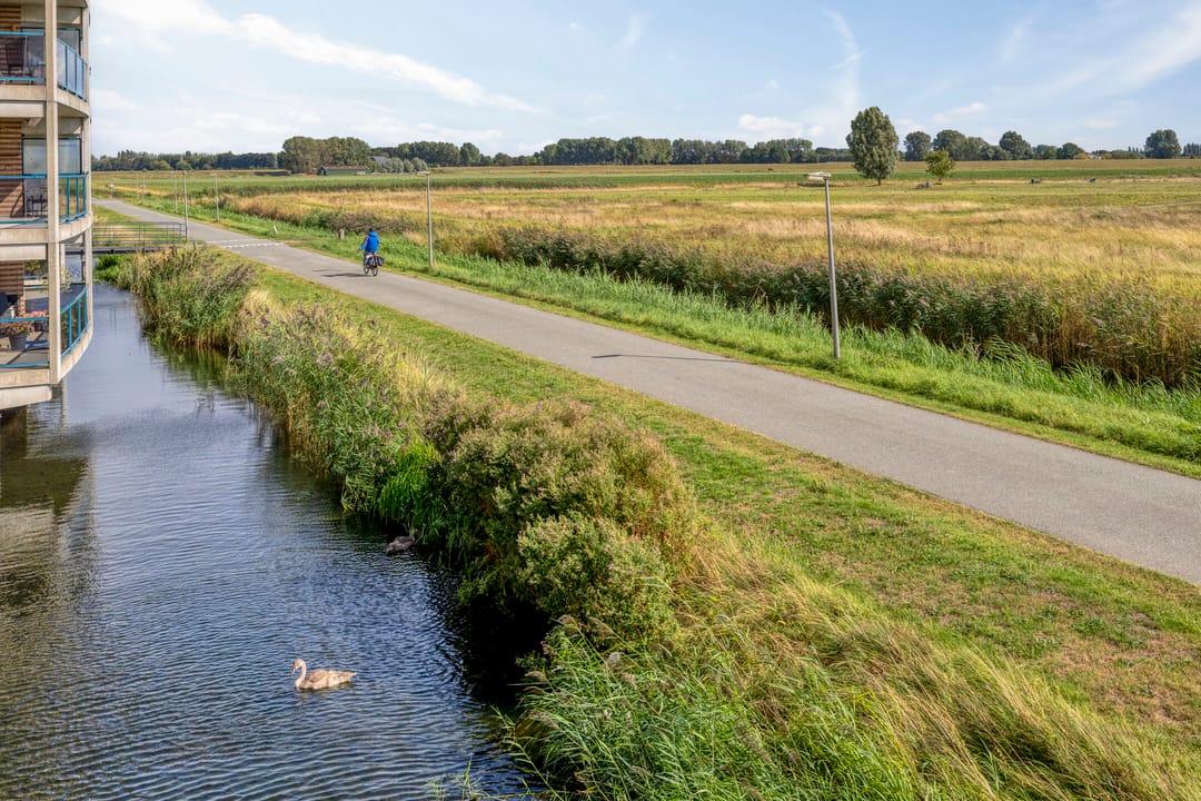 Photo 23 of Selma Lagerlöfstraat 18