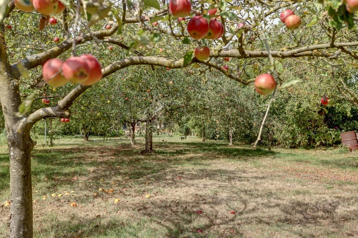 Foto 6 van Krangstraat 9