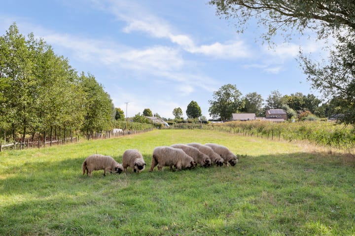 Foto 7 van Krangstraat 9